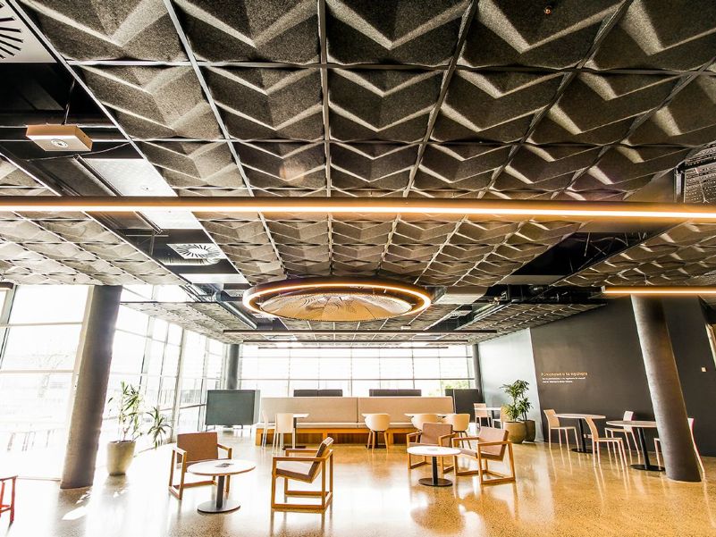Open plan office space with wooden floors and patterned grey acoustic panels which line the ceiling.