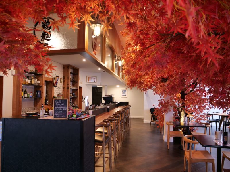 Frontal view of the bar at Takeichi restaurant with the japanese maple tree